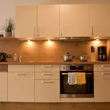 Alpin 3* هولزاغو