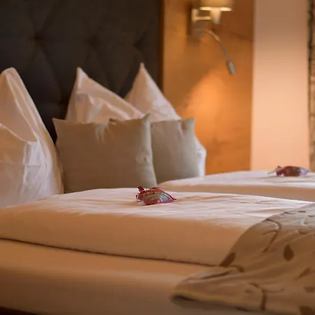 Alpin 게스트하우스